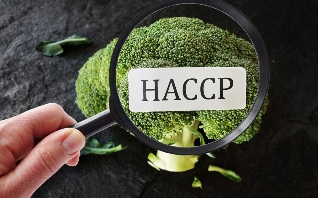 HACCP: A Cornerstone of Food Safety